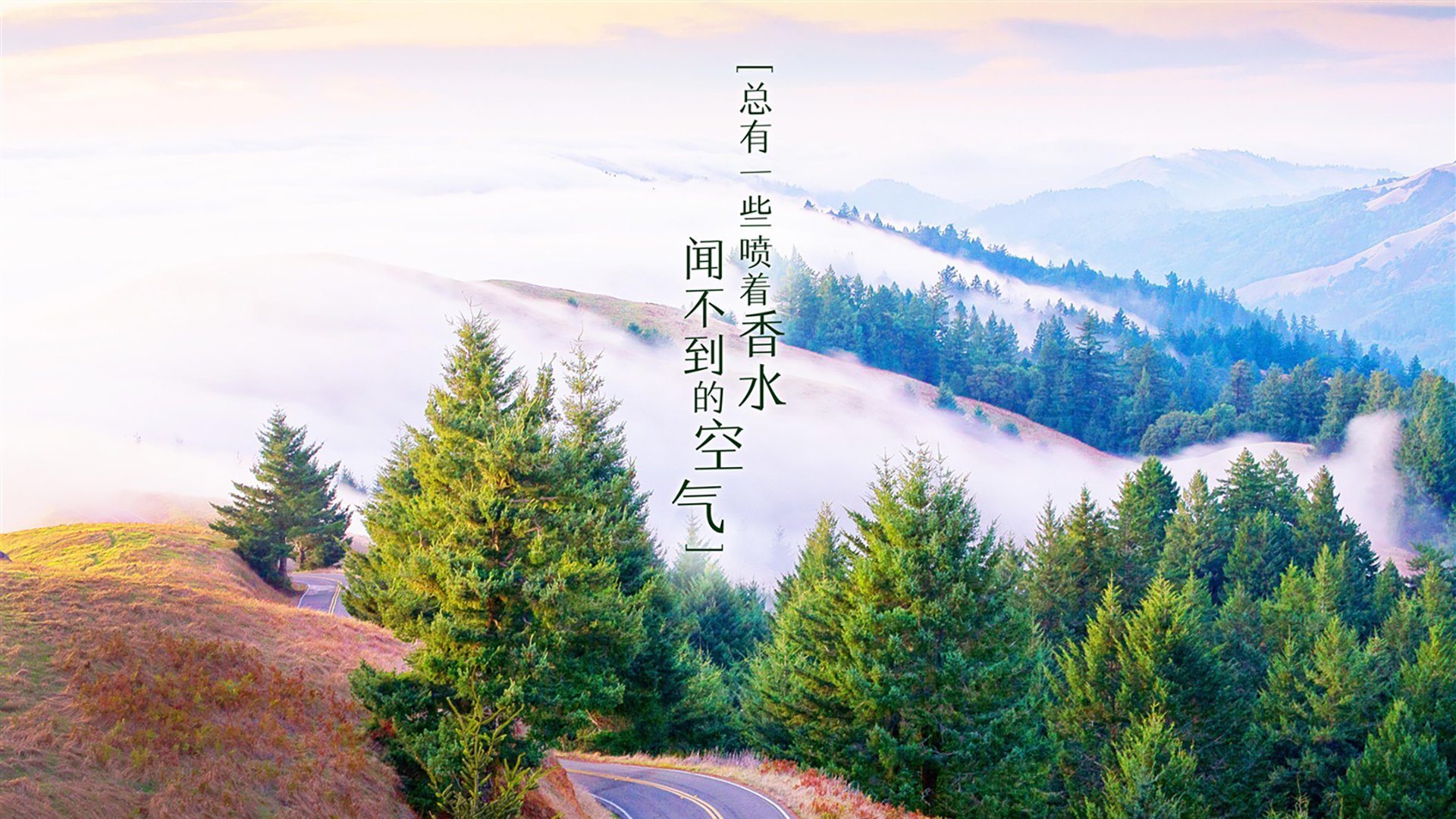 《虚拟竞技新纪元：电竞中的区块链应用探索》，虚拟电竞战队