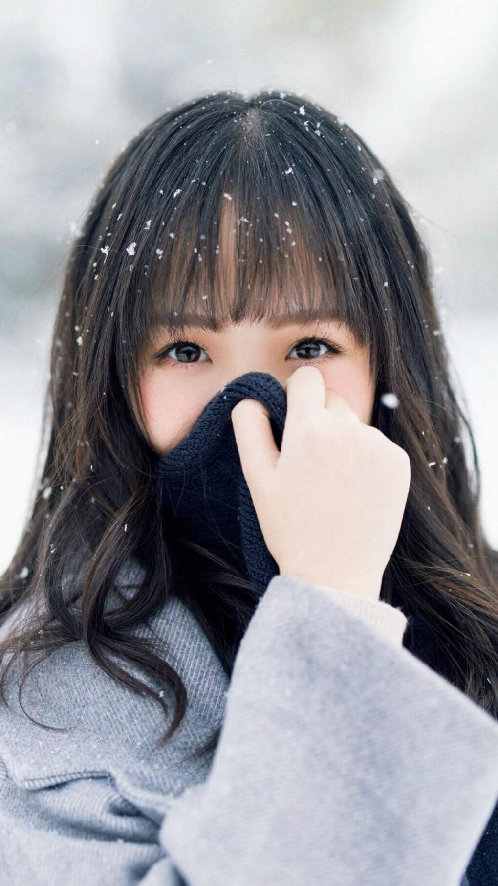 国际队新星加布里埃尔·卡瓦略转会至沙特球队阿尔卡迪西亚，加布里艾尔安瓦尔