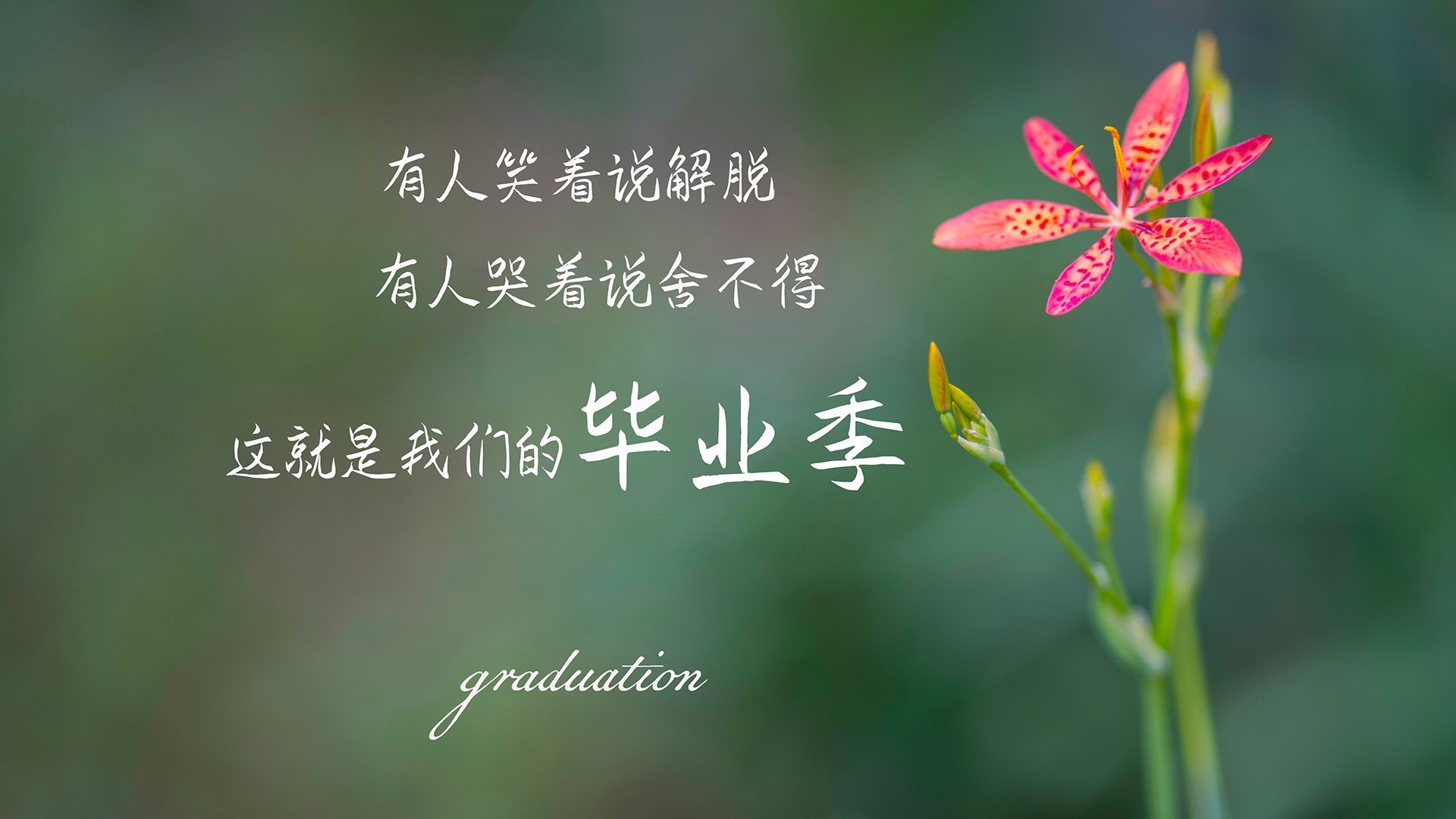 泰国马术协会出版“Lamb”历史专著，记录赛事发展历程。，泰国马场在哪里