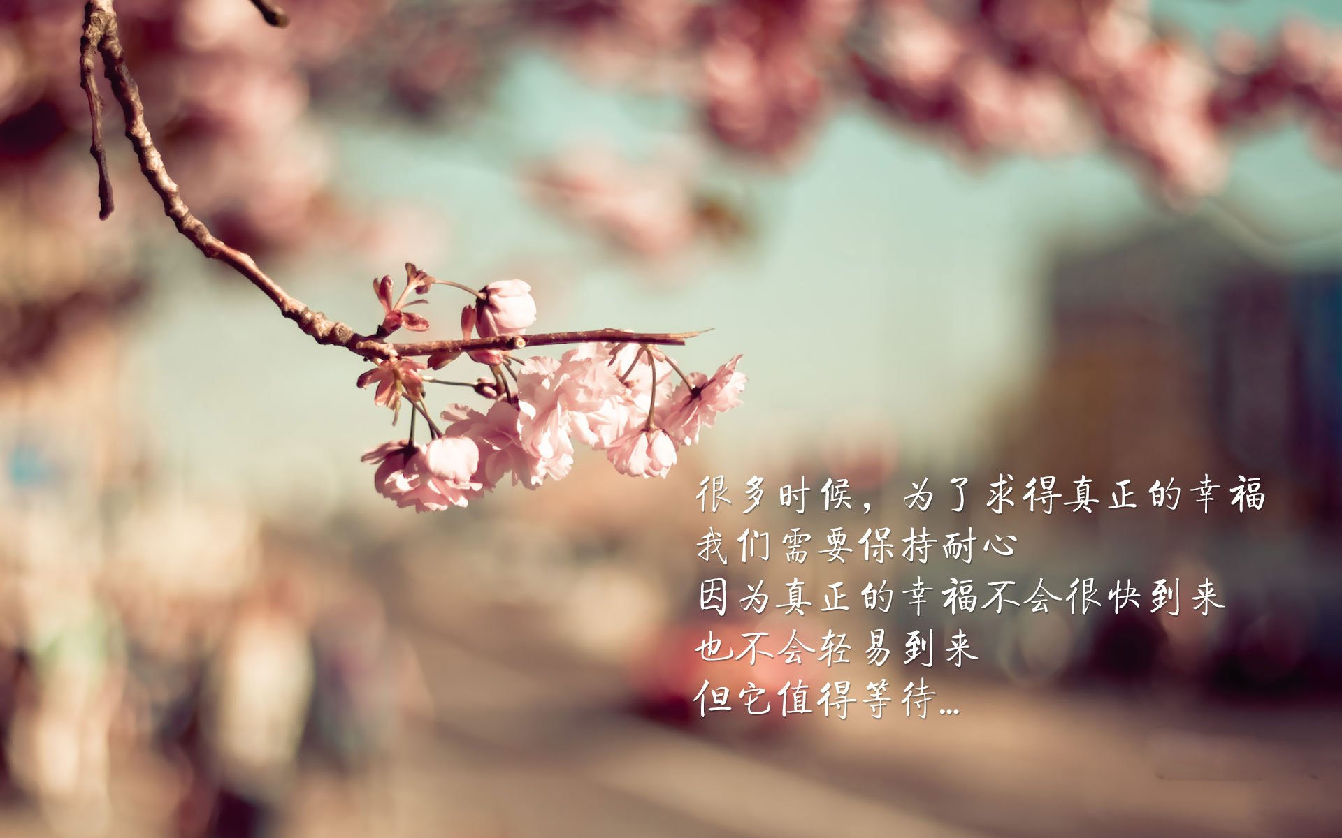 比利时队在欧洲杯小组赛中以0比2负于西班牙队，比利时足球欧洲杯阵容