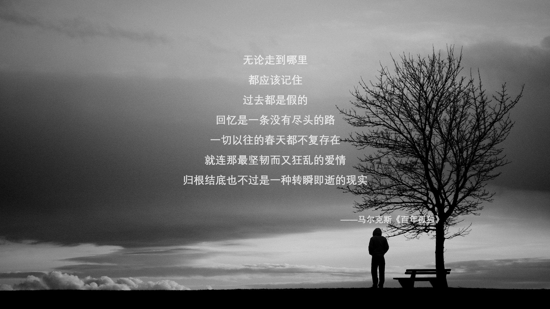 全国游泳俱乐部联赛多城区队表现突出，中国游泳俱乐部排名