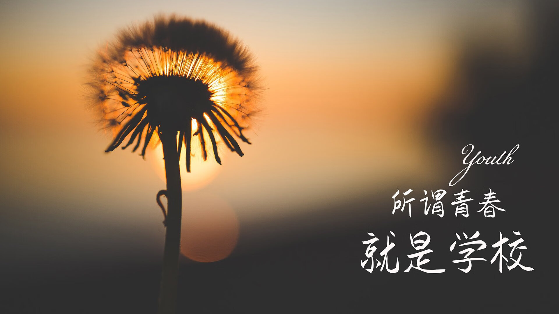 篮球运动员营养补给与恢复方案优化研究，篮球运动员营养膳食食谱