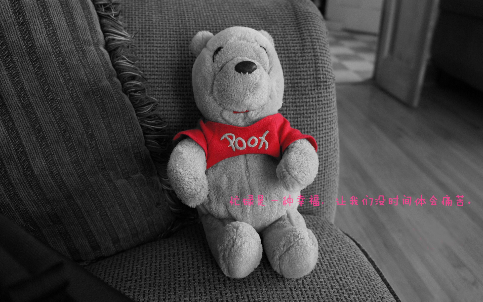 奇才教练称球队态度决定比赛结果，奇才队主教练是谁