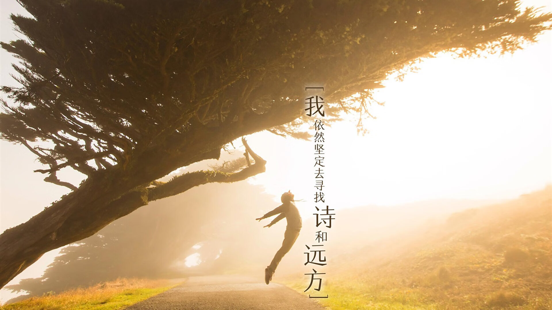 意甲攻势如潮：闪电突袭，令人瞠目！，二战意大利闪电师