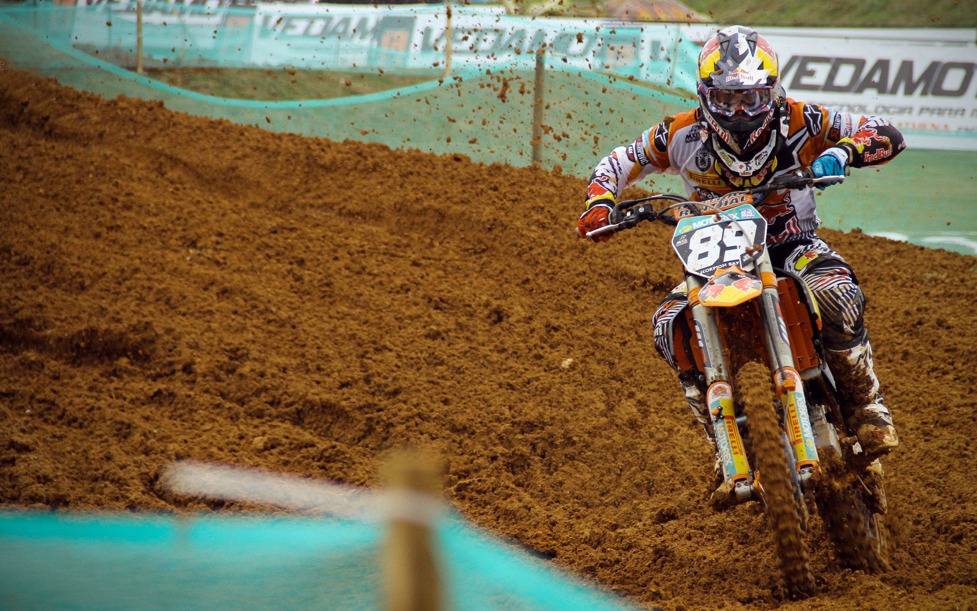 赛事现场粉丝互动不断,志愿者服务周到,志愿者协会视频